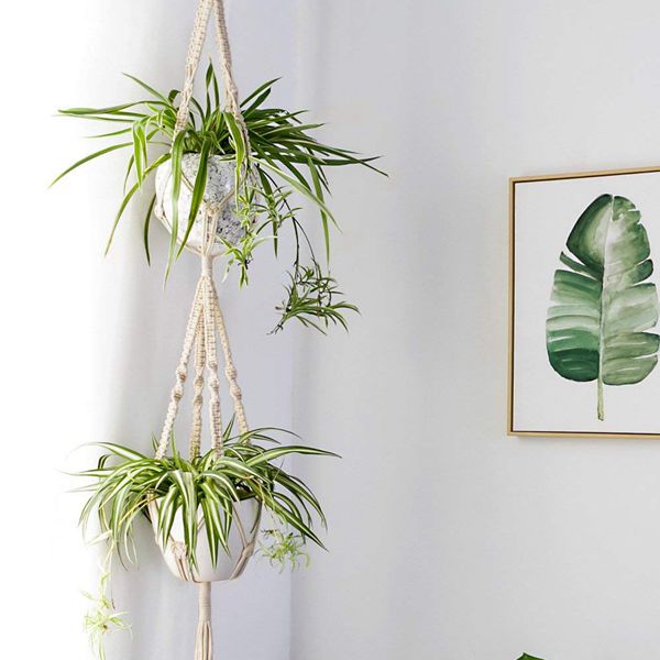 Macrame Plant Hangers